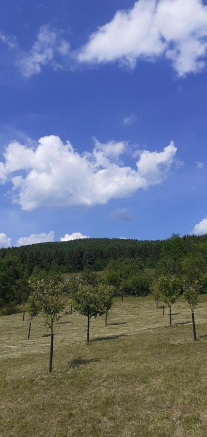 Pensiunea Anca Rona de Jos Exterior foto
