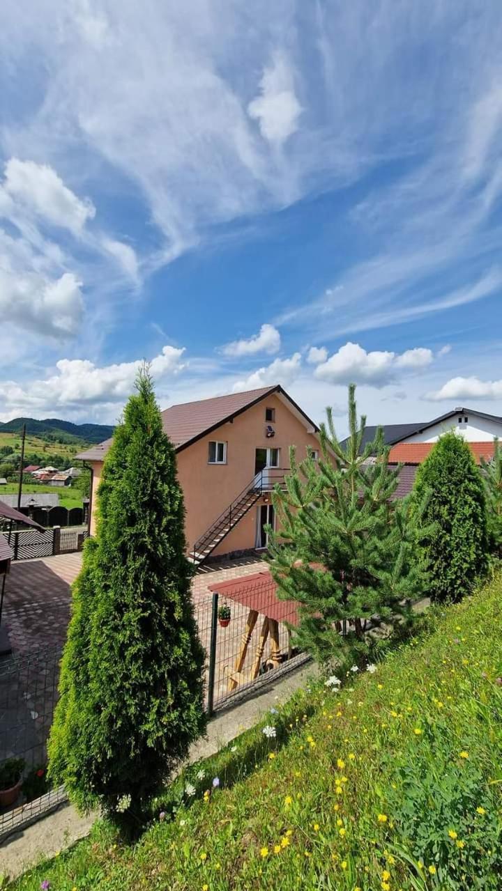 Pensiunea Anca Rona de Jos Exterior foto